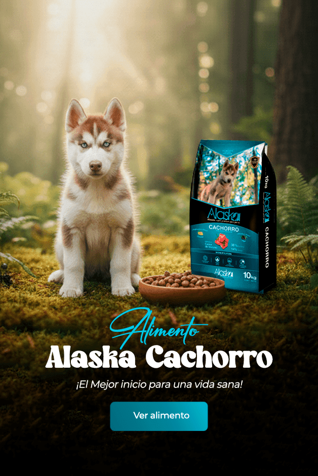 Alimento Alaska Cachorro. ¡El Mejor inicio para una vida sana! Ver alimento.