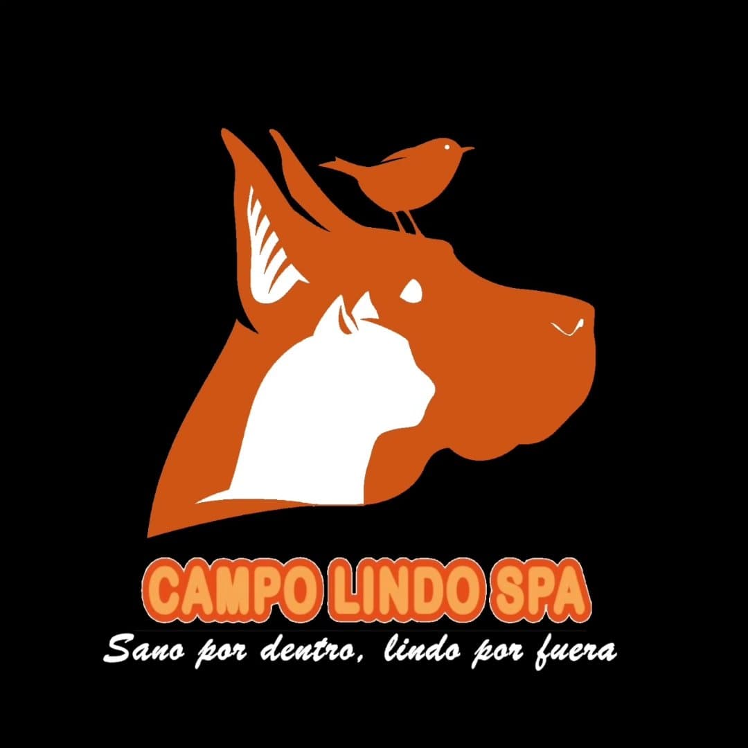 CAMPO LINDO